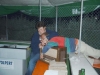 db_tennisfest2003-63a3